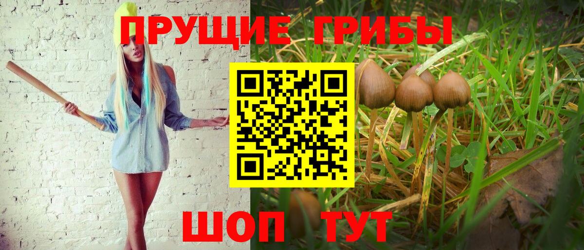 Псилоцибиновые грибы мухоморы  Галлюциногенные грибы Cubensis  Партизанск  Вход с VPN 