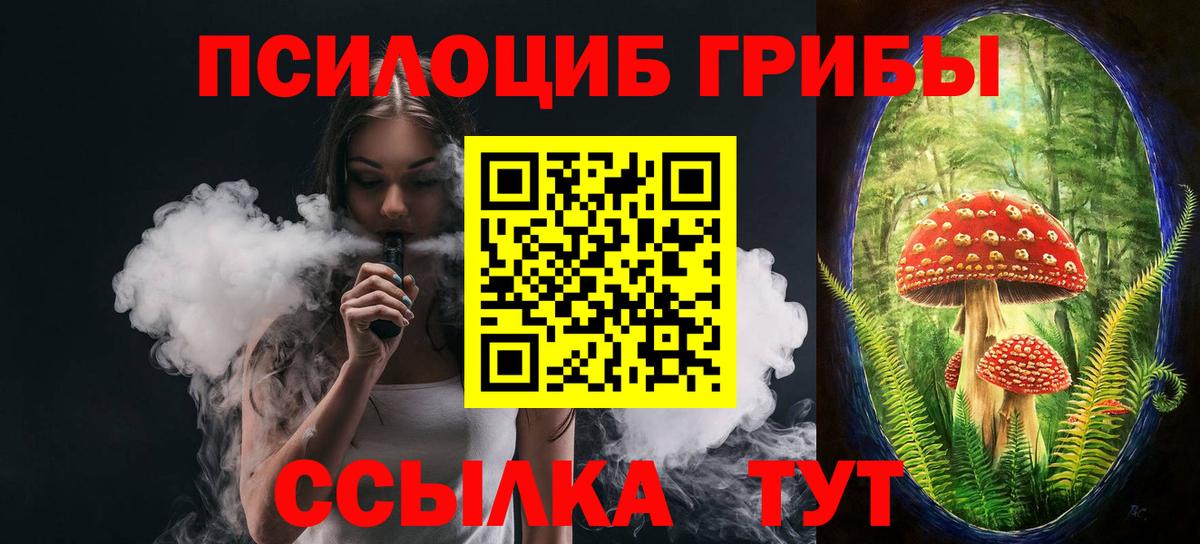 Галлюциногенные грибы Psilocybe Партизанск
